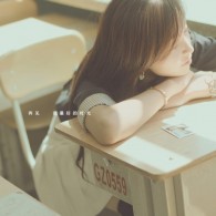 正版49图库免费安装12生肖对照表